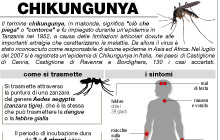 chikungunya