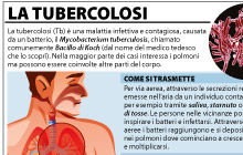 tubercolosi