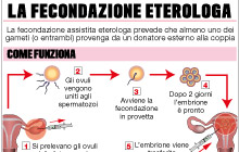 FECONDAZIONE ETEROLOGA